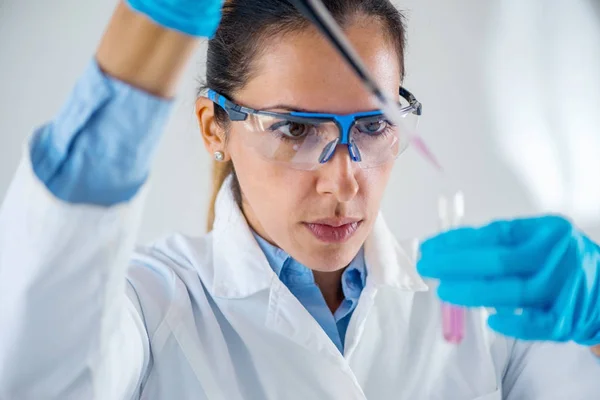 Laboratory Technician Micro Pipette — Stock Photo, Image