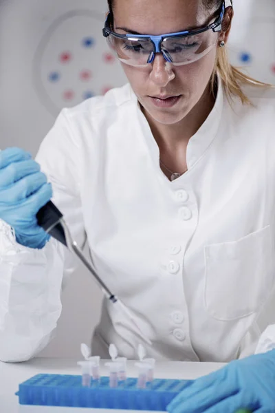 Laboratory Technician Work — Stock Photo, Image