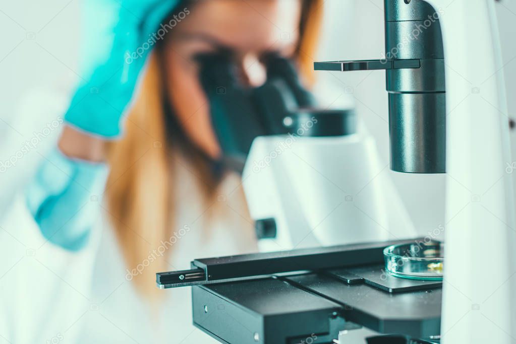 Female biotechnology scientist working in laboratory