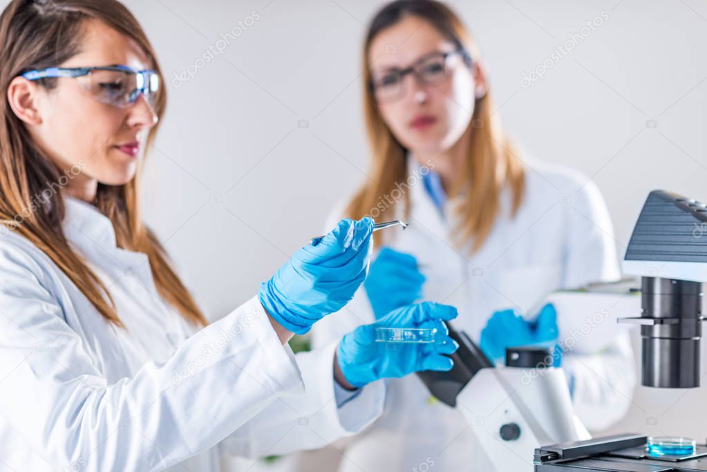 Female students researching samples in laboratory
