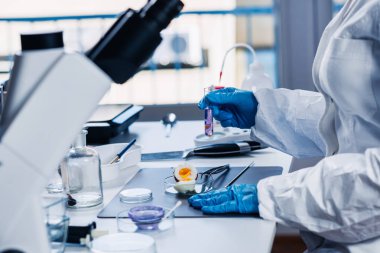 Kalite kontrol Laboratuvarı yumurta, teftiş uzman