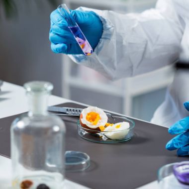 Kalite kontrol Laboratuvarı yumurta, teftiş uzman