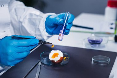 Kalite kontrol Laboratuvarı yumurta, teftiş uzman