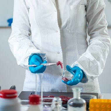 Kalite kontrol Laboratuvarı et, teftiş uzman