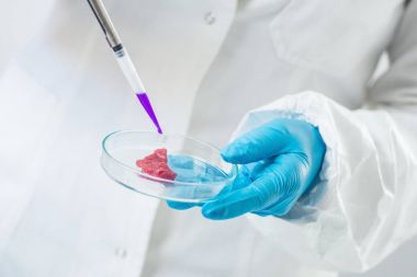 Kalite kontrol Laboratuvarı et, teftiş uzman