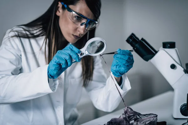 Scienze Forensi Laboratorio Scienziato Forense Che Esamina Tessuti Con Tracce — Foto Stock