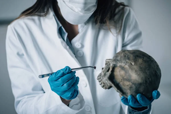 Ciência Forense Laboratório Cientista Forense Examinando Crânio Com Evidências — Fotografia de Stock