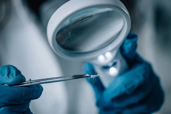 Ciência Forense Laboratório Cientista Forense Examinando Haor Com Evidências Dnk — Fotografia de Stock