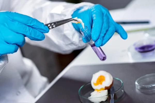 Experto Control Calidad Que Inspecciona Huevos Laboratorio — Foto de Stock