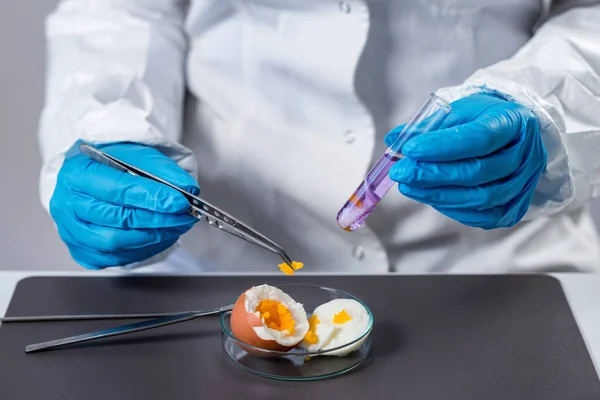 Experto Control Calidad Que Inspecciona Huevos Laboratorio — Foto de Stock
