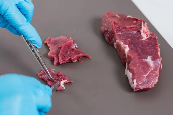Kvalitetskontroll Expert Inspekterar Kött Laboratoriet — Stockfoto