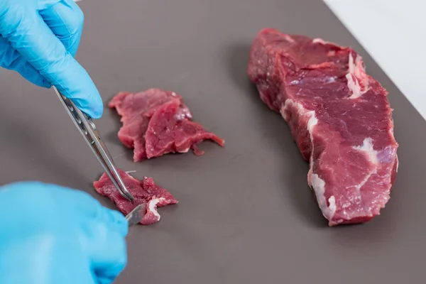 Perito Controlo Qualidade Inspeccionar Carne Laboratório — Fotografia de Stock