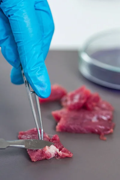 Experto Control Calidad Que Inspecciona Carne Laboratorio — Foto de Stock