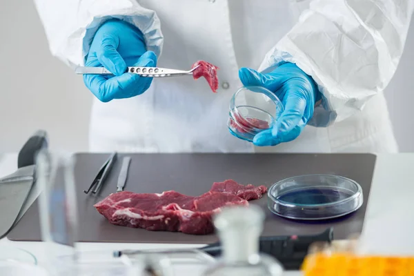 实验室肉类质量控制专家检验 — 图库照片