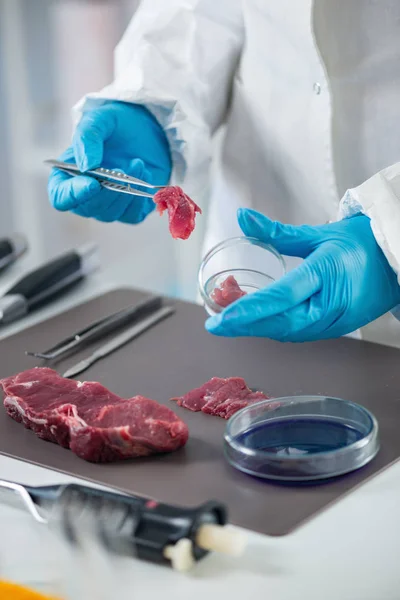 Experto Control Calidad Que Inspecciona Carne Laboratorio — Foto de Stock