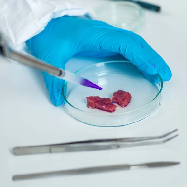品質管理の実験室で肉検査専門家 — ストック写真