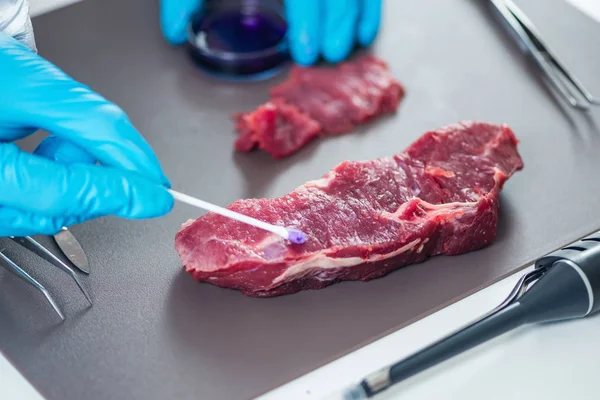 Perito Controlo Qualidade Inspeccionar Carne Laboratório — Fotografia de Stock