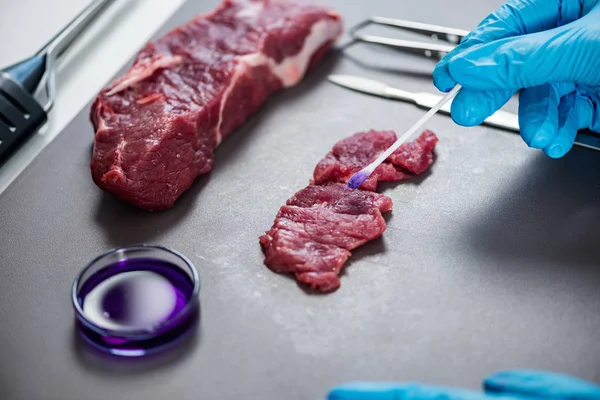 Experto Control Calidad Que Inspecciona Carne Laboratorio — Foto de Stock