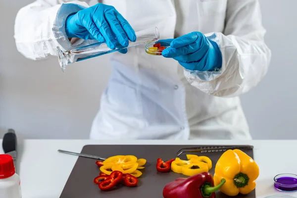 Kwaliteitscontrole Voedsel Veiligheid Inspecteur Een Laboratorium Werken — Stockfoto