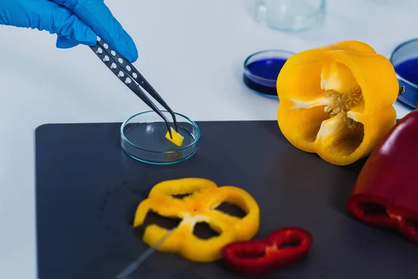 Controle Qualidade Inspetor Segurança Alimentar Trabalhando Com Vegetais Laboratório — Fotografia de Stock