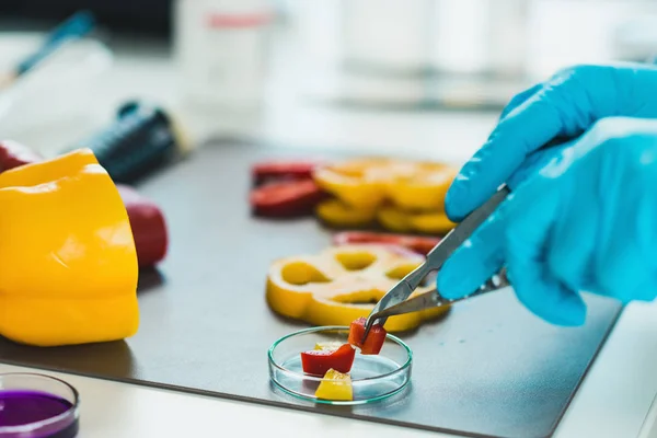 Kwaliteitscontrole Voedsel Veiligheid Inspecteur Met Groenten Een Laboratorium Werken — Stockfoto