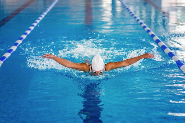 女游泳运动员在游泳池训练 蝴蝶游泳风格 — 图库照片