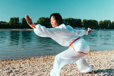 Asyalı kadın Tai Chi açık havada pratik 