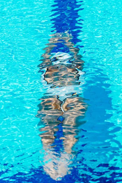 Nadadora Entrenamiento Piscina — Foto de Stock