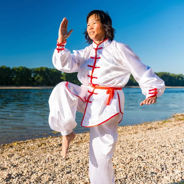 Asyalı Kadın Tai Chi Açık Havada Pratik — Stok fotoğraf