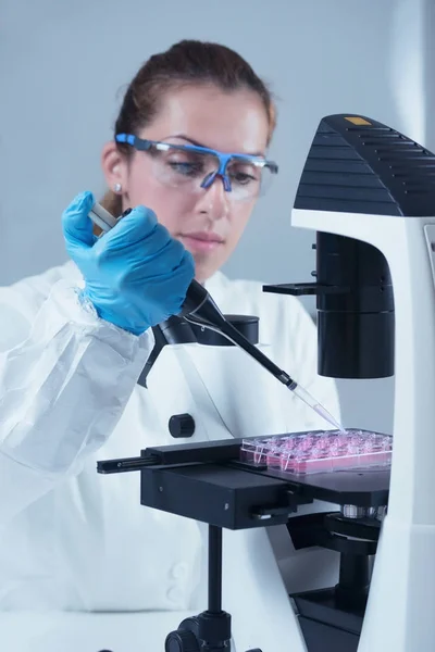 Женщина Ученый Микроскопом Микропипеткой Работает Лаборатории — стоковое фото