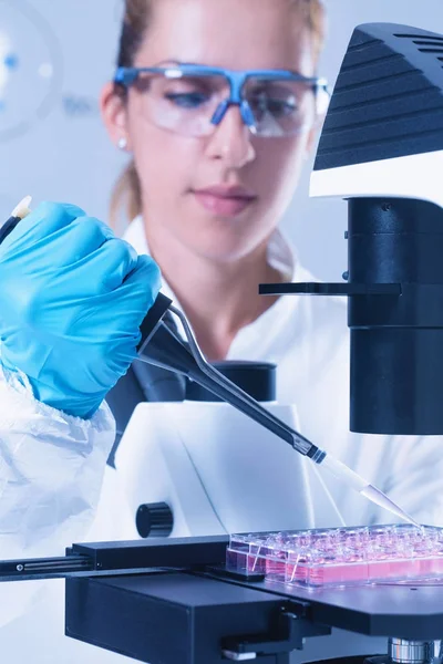 Cientista Feminina Com Microscópio Segurando Micro Pipeta — Fotografia de Stock
