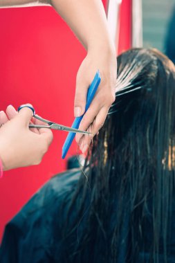 Kuaför saç saç salonda uzun kahverengi kesme