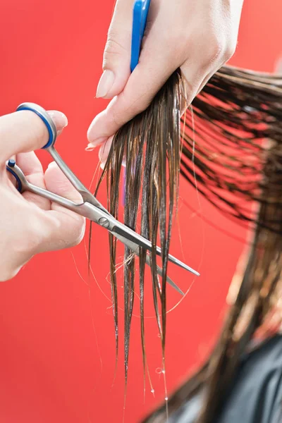 美容室髪カット Haircutter — ストック写真