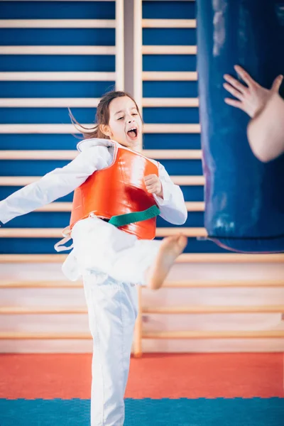 Дитячий Ударний Мішок Tae Kwon Class — стокове фото