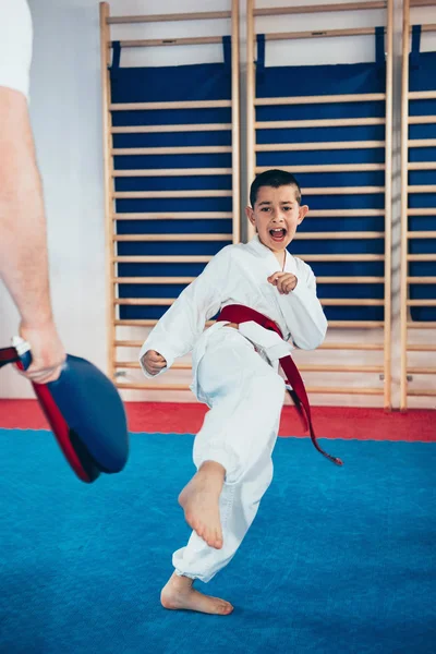 Tae Kwon Εκπαιδευτή Μικρό Αγόρι Στην Τάξη — Φωτογραφία Αρχείου
