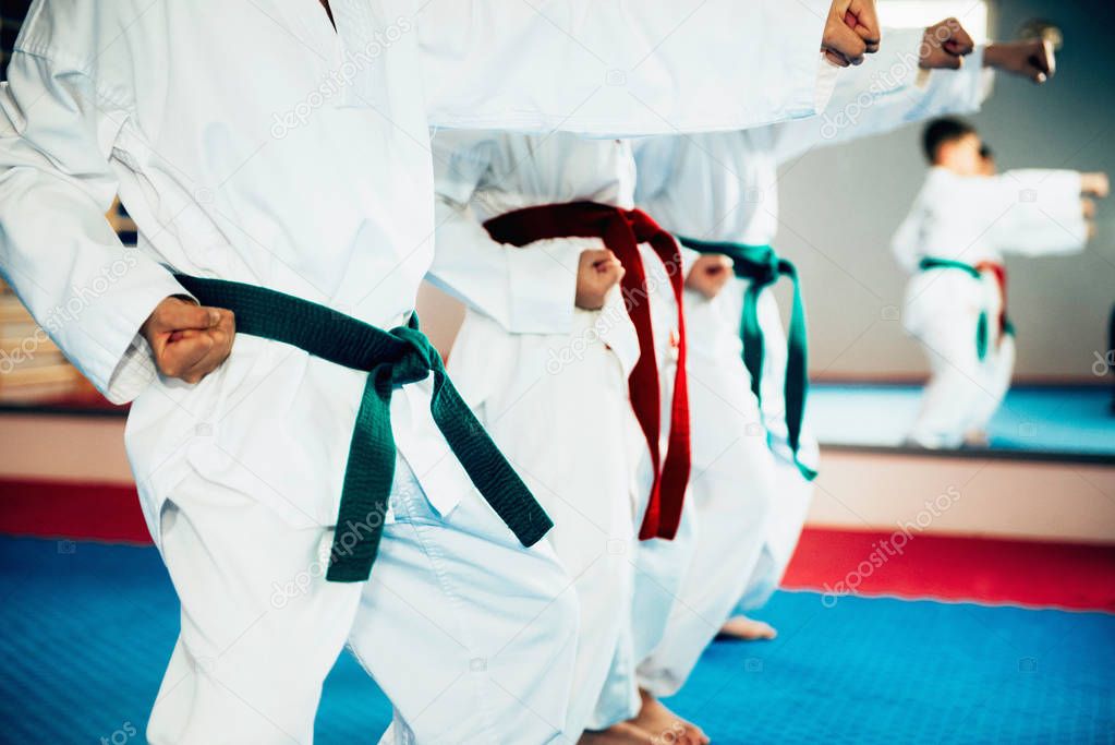 close up of Children in Tae Kwon Do stance 