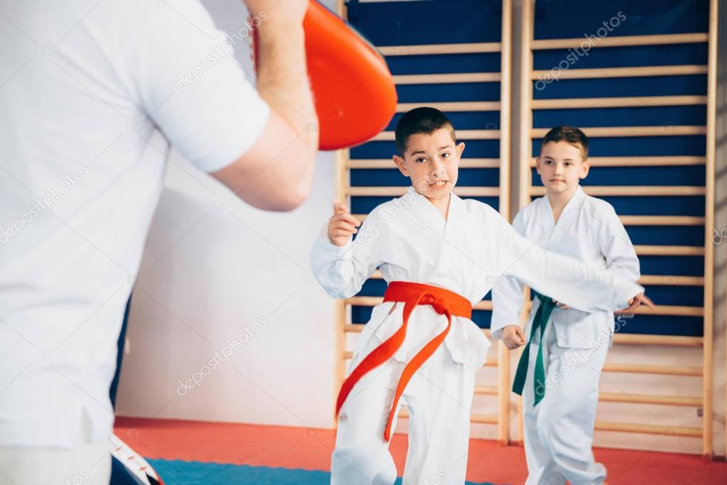 Group of children on Tae kwon do training with trainer