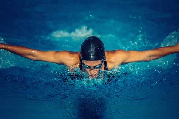 Mariposa Nadadora Piscina —  Fotos de Stock