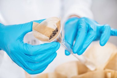 Laboratuvarda toprak örneklerinin incelenmesi