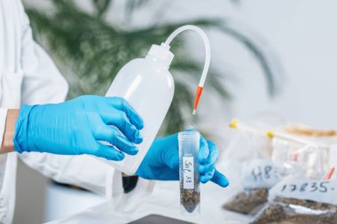 Toprak testi. Beyaz önlüklü kadın biyolog laboratuarda çözünmüş toprak örnekleriyle test tüpüne su döküyor. Toprağın Agrokimyasal incelemesi.