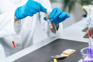 Laboratuvar Toprak Analizi. Beyaz önlüklü kadın bilim adamı litmus şeritli toprak örneğini ölçüyor. Toprağın Agrokimyasal incelemesi.