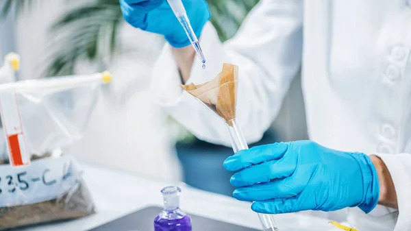 Pruebas Suelo Cerrar Las Manos Del Científico Laboratorio Mezclando Muestras — Foto de Stock