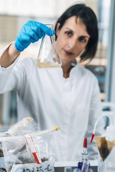 Scientifique Laboratoire Regardant Des Flacons Verre Avec Des Échantillons Dissous — Photo