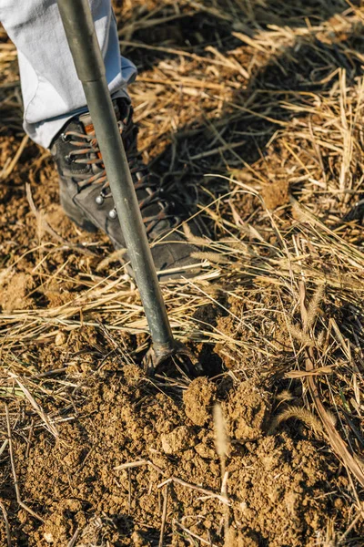 Amostragem Solo Feminino Agrônomo Colhendo Amostra Com Sonda Solo Amostrador — Fotografia de Stock