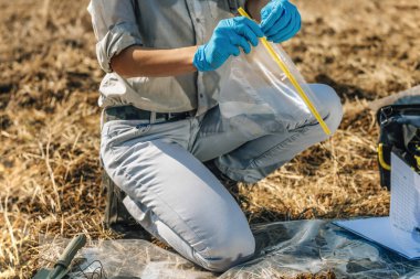 Toprağı test ediyoruz. Agronomist sahada toprak örneği torbası açıyor. Çevre koruma, organik toprak sertifikası, Toprak Doğurganlık Analizi