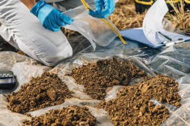 Toprağı test ediyoruz. Agronomist sahada toprak örneği torbası açıyor. Çevre koruma, organik toprak sertifikası, Toprak Doğurganlık Analizi