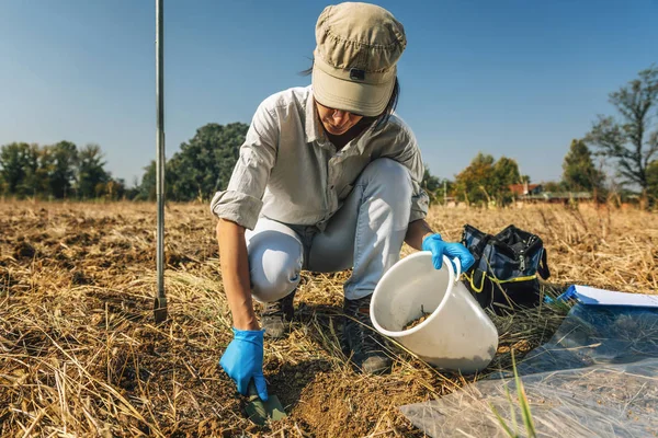 土壌サンプリングプロセス 女性農学者は肥沃度分析のために土壌サンプルを採取する 環境研究 — ストック写真