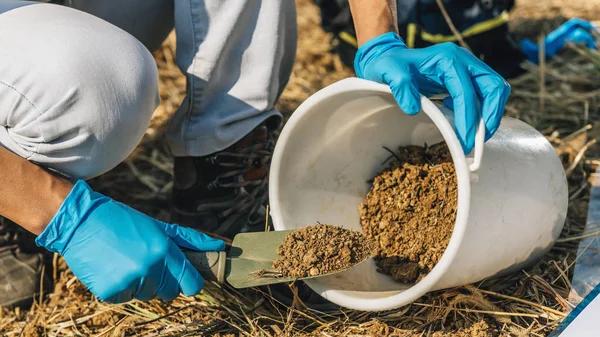 Bodenproben Agrarwissenschaftler Entnimmt Bodenprobe Zur Fruchtbarkeitsanalyse Hände Handschuhen Aus Nächster — Stockfoto