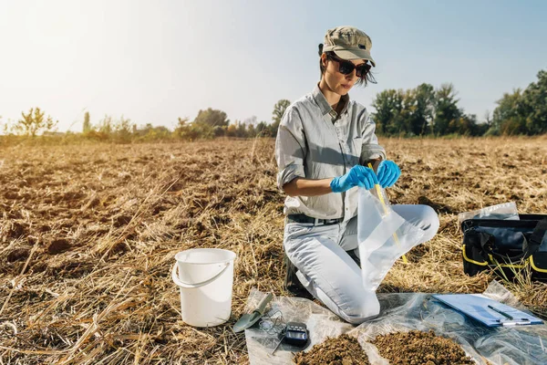 土壌の試験 農学者は フィールド内の土壌サンプルバッグを開きます 環境保護 有機土壌認証 土壌肥沃度分析 — ストック写真