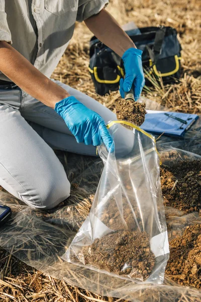 Δοκιμή Εδάφους Γεωπόνος Βάζοντας Χώμα Φτυάρι Κήπου Σακούλα Δείγματος Εδάφους — Φωτογραφία Αρχείου